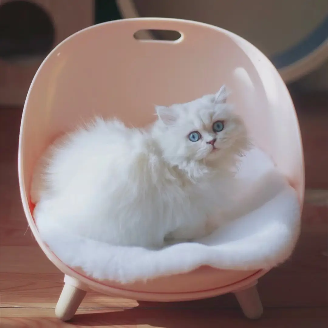 Simple elegant cat bed house multi-functional Pet house plastic pet sofa furniture with factory price