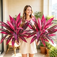 Tanaman Plastik Buatan Mirip Asli, Daun Kayu Brasil, Sarang Burung, Pakis, Dracaena Merah, Kompatibel untuk Dekorasi Lintas Batas