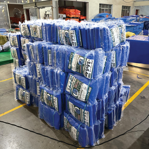 Durable Waterproof Tarpaulin Camping <b>Tent</b> for Boys & Girls Plain Style with Reinforced Baseboard - Product Image 1