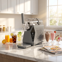 Traditioneel Nieuw Model Goedkoop Aangepast Privélabel 120v 240v Fruit Slush IJsmachine ISlushy Maker Smoothie Maker