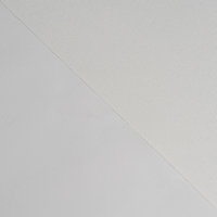 Toile en polyester brillante et imperméable 260GSM compatible avec Epson, Canon, HP pour impression jet d'encre, toile d'art décorative