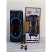 AVCROWNS Speaker Portabel Dual 10 inci Bertenaga dengan Pertunjukan Cahaya RGB, Kotak Speaker Plastik untuk DJ Luar Ruangan