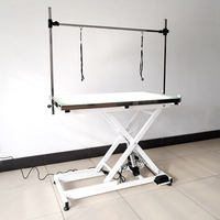 Table à éclairage LED 829 v, établi pour toilettage des animaux de compagnie, pour le chiens