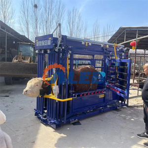 Attrezzatura <span class=keywords><strong>per</strong></span> la Gestione del Bestiame: Gabbia di Contenimento <span class=keywords><strong>per</strong></span> Bovini <span class=keywords><strong>per</strong></span> Vaccinazioni - Product Image 3