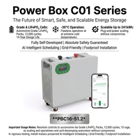 Batterie de stockage d'énergie hybride divisée LiFePO4 de 16 kWh, 51,2 V 314 Ah, pour système d'alimentation de secours d'onduleur solaire