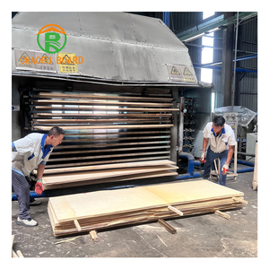 <span class=keywords><strong>Bois</strong></span> lamellé-collé LVL pour la construction et les applications structurelles extérieures, faible teneur en formaldéhyde (E0), design moderne, application villa - Product Image 3