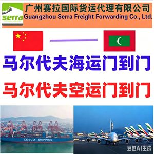 Transporte Marítimo LCL a Islas del Pacífico Sur desde los Puertos de Guangzhou, Shenzhen, Shanghái, Ningbo, Qingdao, Xiamen y Tianjin - Product Image 3