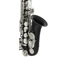 Eb Alto Saxophone Brass Body Polished Finish Nickel Plated Keys Professional Bakelite Head Musical Instrument