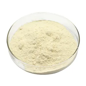 Sacchetto da 25 Kg addensante sfuso polvere di pectina di agrumi gialla n. CAS: 900-69-5 per gelatina