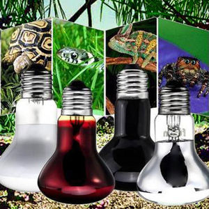 Bombillas de foco UVA de luz diurna de 25W y 100W para reptiles, lámpara de calefacción infrarroja, foco de luz para reptiles, suministros para anfibios - Product Image 4