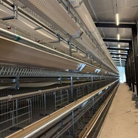 Système de cages vertical H entièrement automatique et galvanisé à chaud pour l'élevage de poules pondeuses en ferme avicole