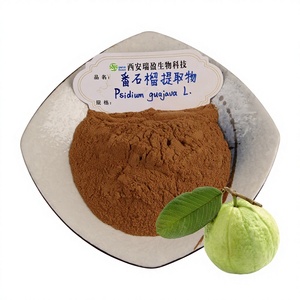 Extracto de Guayaba al por Mayor, Extracto de Psidium Guajava L, Extracto de Psidium Guajava 10:1, Extracto de Hoja de Guayaba - Product Image 1
