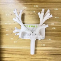 Modelo de Entrenamiento Bronquoscópico - Modelo de Fibrobroncoscopia Pulmonar Nivel 4 - Práctica de Fibroscopia en Nivel 4 Blanco Duro