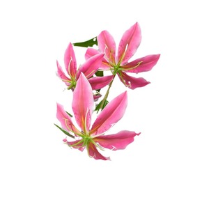 Fleurs artificielles en soie, Lys flamme à trois têtes simulées, pour bouquet de mariage et arrangement durable - Product Image 5