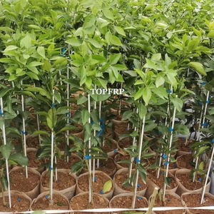 Piquets en fibre de verre haute résistance de 2 mm, 3 mm, 4 mm, tiges de soutien pour plantes grimpantes, pour arbres, tomates, raisins - Product Image 3