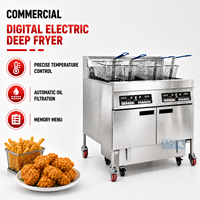 Friteuse Électrique Professionnelle Ouverte pour Frites, Poulet Rôti et Dinde – Idéale pour Restaurants