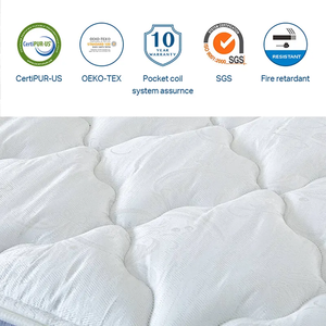 Nữ Hoàng Kích Thước Giường Trong Một Hộp Hiện Đại Nén Mùa Xuân Ngủ Nệm Chuyển Đổi Đồ Nội Thất Nhà Cho Phòng Ngủ - Product Image 5