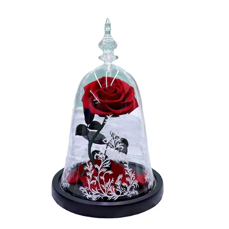 2024 new Beauty Beast Enchanted Bella Rose Preserved Flower In Glass Dome