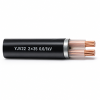Câble d'alimentation blindé YJV22 2 conducteurs 35mm² 0,6/1kV, câble de distribution souterrain basse tension 2*35