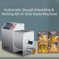Machine à pâtes italienne motorisée professionnelle tout-en-un pour pétrir et étaler la pâte, grande capacité pour restaurant, pâtes fraîches