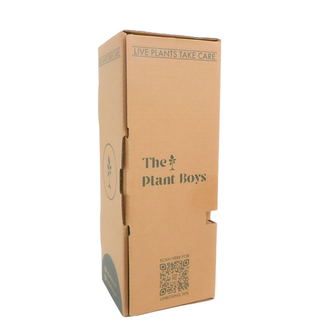 Custom Corrugated Flower Plant Shipping Box Brown Eco Friendly Packaging Box with logo and Insert for Floral Transport
