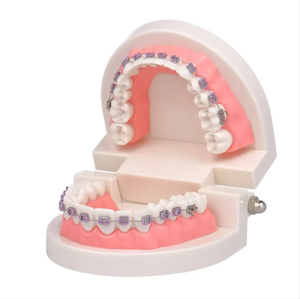 AMAIN Tooth Braces Dental ortodoncia soporte de ortodoncia China Braces ortodoncia - Product Image 1