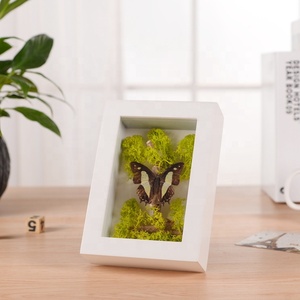 Top Bán Giá Rẻ Bất Bướm Bộ Sưu Tập Bóng Hộp MDF Khung Ảnh Bán Buôn - Product Image 3