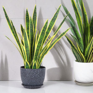 Maceta de plantación de plástico decorativa gruesa de tamaños <span class=keywords><strong>grandes</strong></span> moderna para interiores y exteriores, maceta para jardín, fábrica al por mayor, barata - Product Image 6