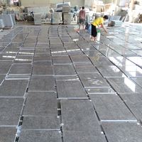 Carrelage de sol en granit Labrador Antico brun, prix le plus bas, 40x40, 80x80