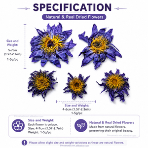 Flores de <span class=keywords><strong>Loto</strong></span> Azul Orgánicas y Saludables, Nymphaea Caerulea, en Bolsa de 0.5 kg, Estándar Alimentario Europeo - Product Image 2
