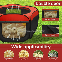 Boîte de couvaison pliable pour poussins, cage à poulets, tente, parc pour petits animaux, poulets, coqs, canards, lapins, boîte de couvaison pour poulets