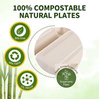 Assiettes en papier compostables robustes en fibre de canne à sucre, compartimentées, compatibles micro-ondes, pour la préparation des repas