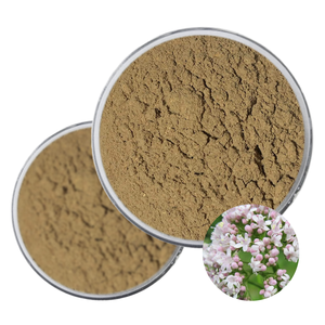 中国水溶性バレリアンエキス粉末0.3% 0.8% バレリン酸ハーブ植物エキス原料バレリアン根粉末エキス - Product Image 4