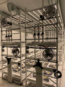 מתלה לגדול ניידת מקורה מערכת גידול הידרופונית - Product Image 4