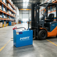 Batterie de chariot élévateur LiFePO4 Premium 24V 36V 48V 76V 80V, homologuée CE pour équipement d'entrepôt