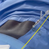 Machine laser de décompression spinale par voie percutanée, laser diode chirurgical PLDD 980nm+1470nm, vente en tête en 2026