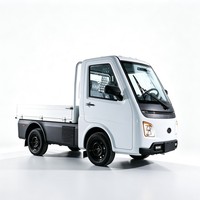 Quadricycle utilitaire électrique compact Jinma de Chine avec benne basculante, homologué CEE, pour usage agricole et transport de marchandises, conduite à droite