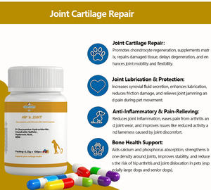 Complément alimentaire pour chiens et chats sans céréales, à absorption rapide, fabriqué dans une usine certifiée GMP, capsules de sulfate de chondroïtine MSM - Product Image 3