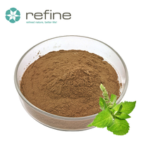 Extrait d'Agastache Rugosa de qualité alimentaire, 100% naturel, poudre de patchouli, ingrédients de parfum naturels
