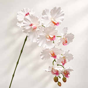 Orchidée Phalaenopsis Artificielle Personnalisée de Qualité Supérieure, Texture de Pétales Réaliste, Fleurs en Plastique Tendance, Prise en Charge OEM/ODM - Product Image 1