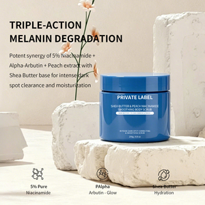 Gommage au sel 5% Niacinamide et Beurre de Karité, Matrix Éclaircissante Précision Lueur pour Coudes et Genoux, 250g OEM - Product Image 4