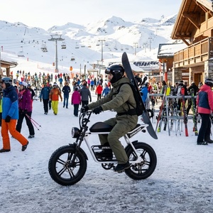 Weißes Fatbike E-Bike mit Scheibenbremsen, Resort-Ebike für Skiresort-Transport - Product Image 3