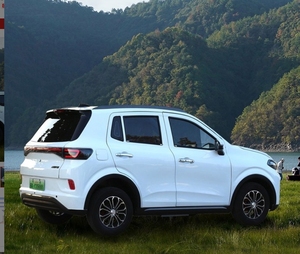 Vehículo de Cuatro Ruedas para Uso Doméstico, Nueva Energía, Movilidad para Personas Mayores, Doble Propósito (Gasolina-Eléctrico) - Product Image 5