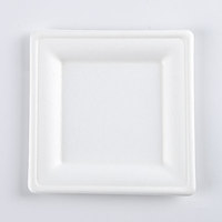 Boîte à lunch en papier de bagasse de canne à sucre jetable biodégradable de 8 pouces avec insert en bambou maintenant disponible sur le marché des EAU
