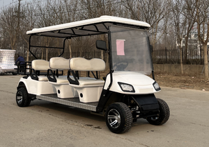 WELIFTRICH Mini voiturette de golf électrique 1-2 places 60V/72V 3.5KW moteur AC avec batterie au plomb/lithium 30-50 km/h - Product Image 4