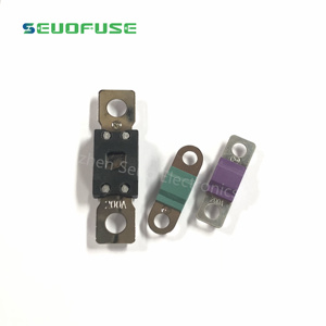 <span class=keywords><strong>Prix</strong></span> compétitif Fusible automobile Fusible boulonné 100A 120A 125A 150A 175A 200A ANM ANL fusible - Product Image 6