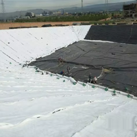 PP-Vliesstoffrollen mit HDPE 3D-Salz für Barriere-Drainage-Geonetze, Geocomposite-Netze im schlichten Stil für Deponie-Drainagesysteme