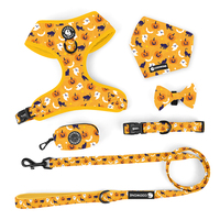 Harnais pour chien en néoprène de marque privée pince grenouille laisse pour chien collier de chien réglable de luxe laisse fournitures essentielles pour animaux de compagnie