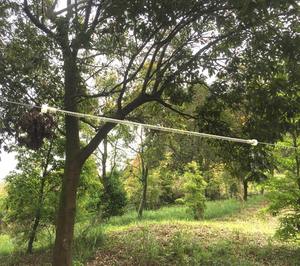 Siège de balançoire en bois CTSC <span class=keywords><strong>avec</strong></span> corde suspendue et fonction de <span class=keywords><strong>tyrolienne</strong></span> pour l'aventure en plein air et le plaisir familial, incluant protège-jambes - Sécurité sportive - Product Image 5