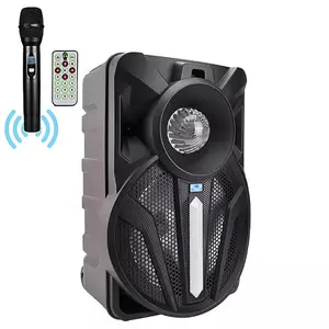 radio bas Suppliers-Draagbare Bluetooth Party Karaoke Disco Thuis Radio Dj Sound Box Bass 12Inch Grote Bluetooth Speaker Knipperlicht Trolley Luidspreker